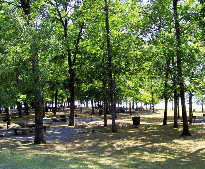 creation of recreational areas