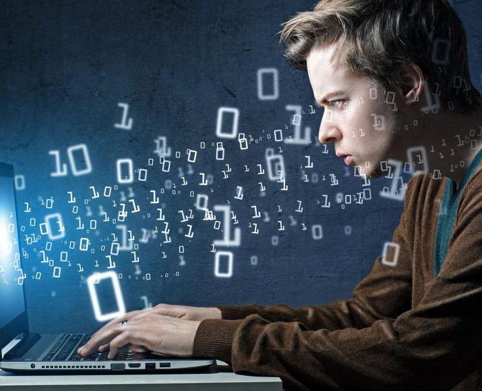 who are IT specialists and what do they do