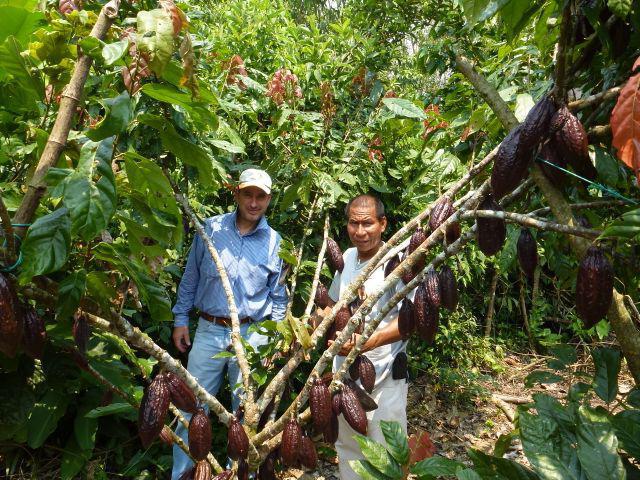 Signs of a post-industrial society.