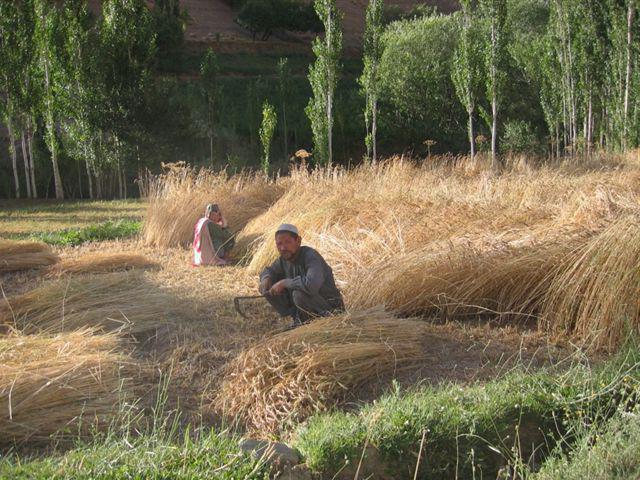 Table types of economic systems grade 8.