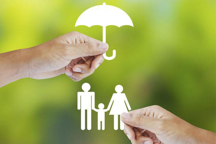 domestic and foreign policy