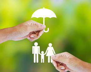 social functions of the state