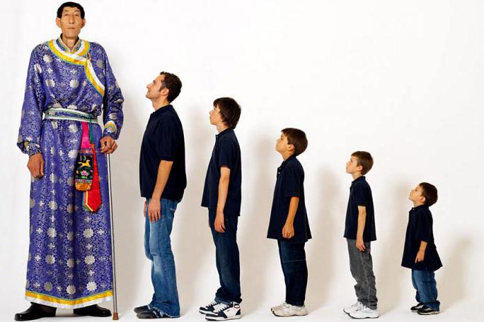 social role and status of the nation