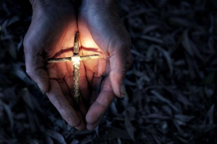 definition of word amnesty