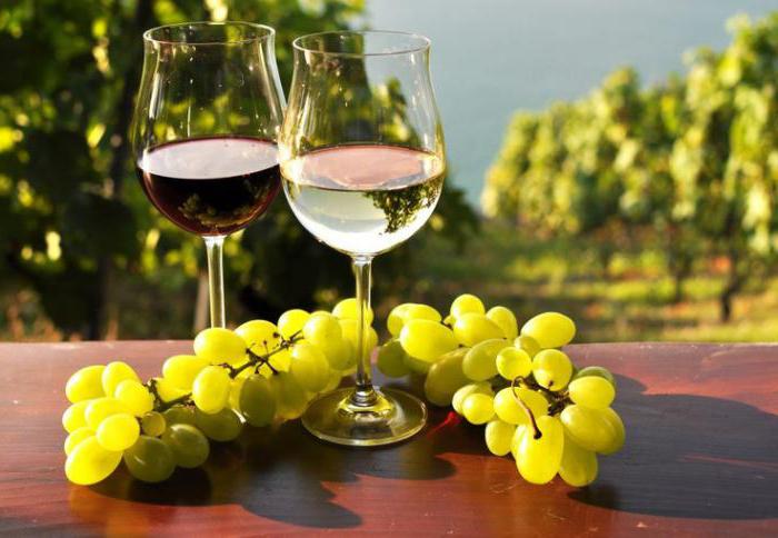 what to bring advice from israel