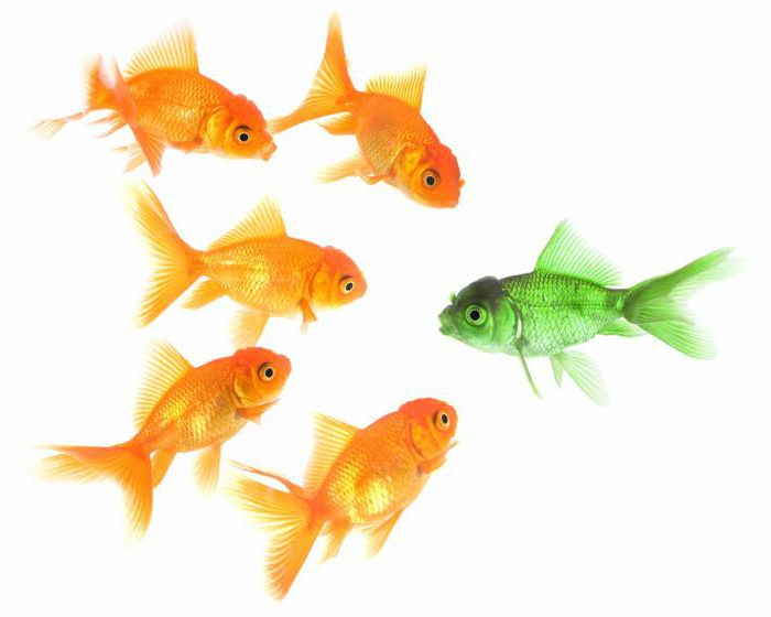 historical comparative method