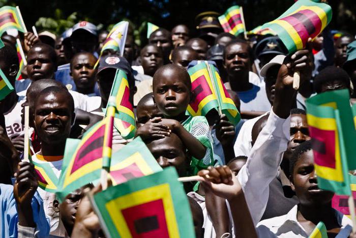 national currency of Zimbabwe