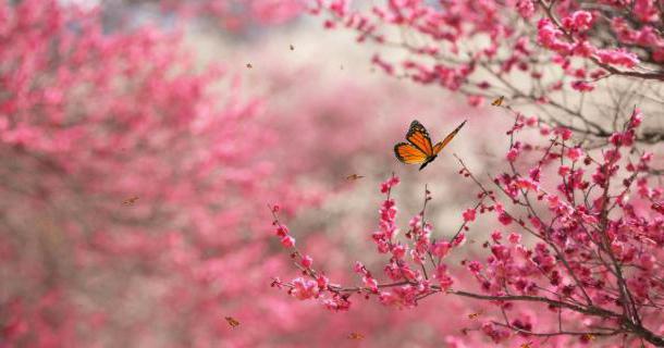 thanks for the help and cooperation