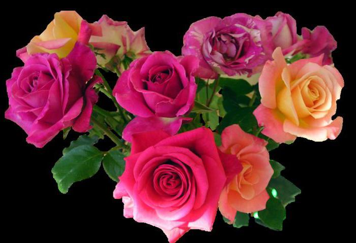 thanks for the cooperation text