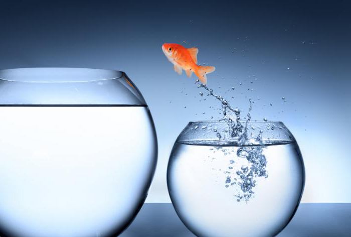 how to change your life