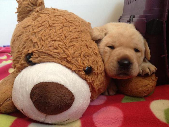 change your life for the better where to start