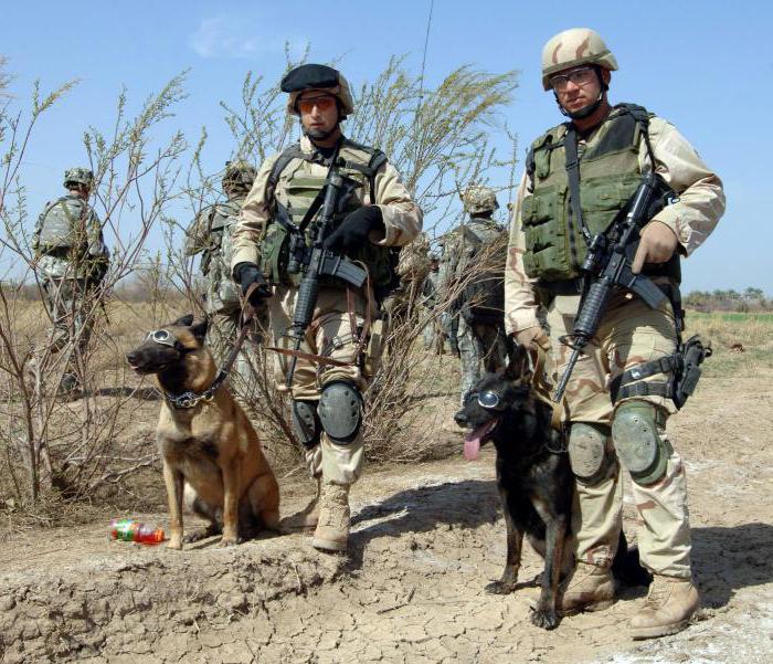 age limit for military service is