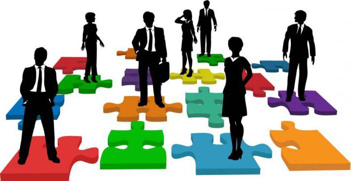 human resources and staff