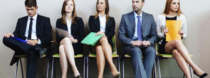 employment and labor market