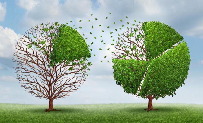 product market share