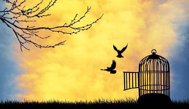 stateless persons it