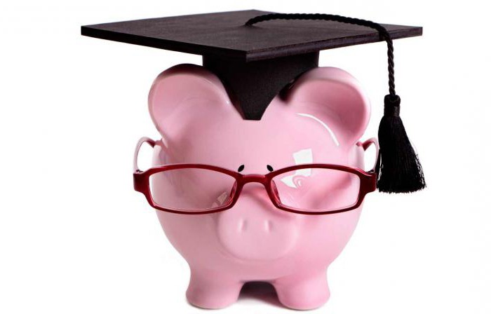 check taxes tax debts