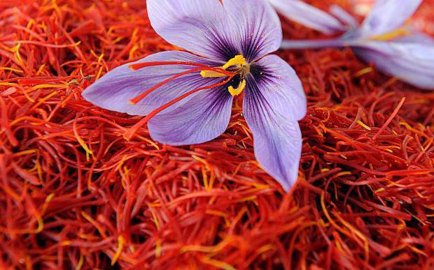 the most expensive spice in the world