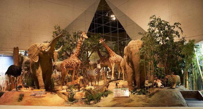 Moscow state museums list