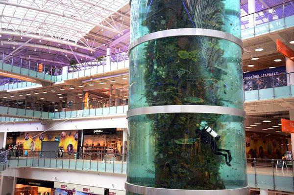 The largest children's shopping center in Moscow