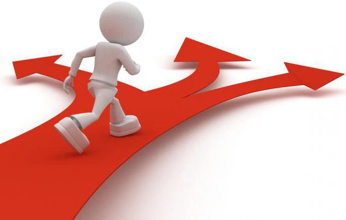 organization of economic activity