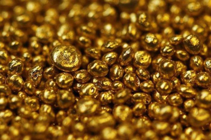 Novosibirsk refinery