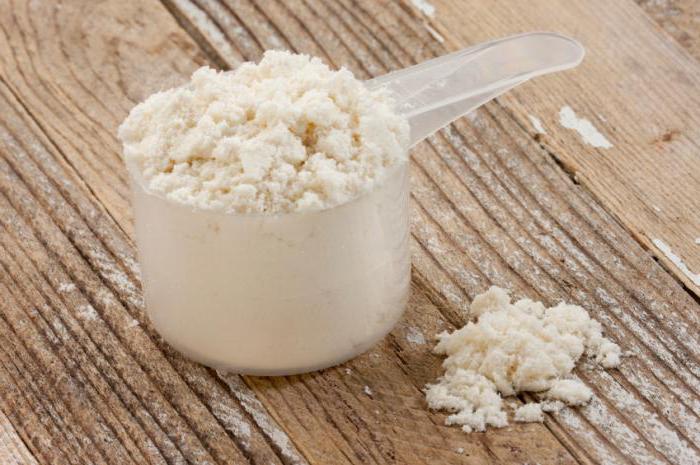 whey protein production