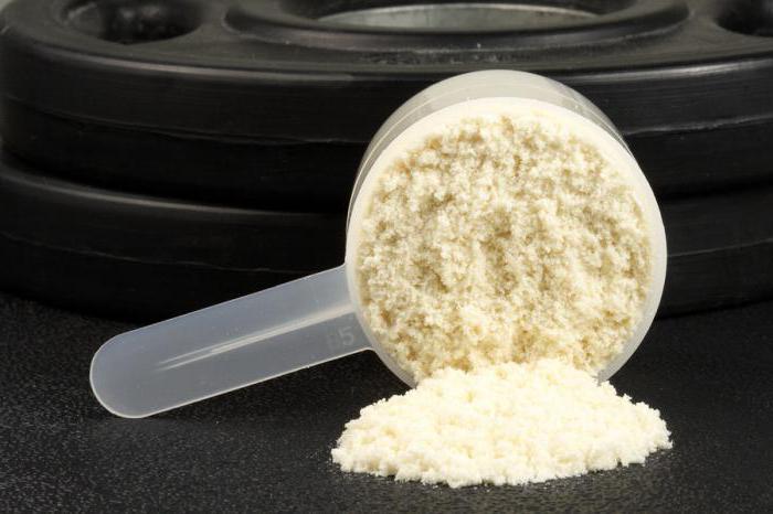 protein production equipment