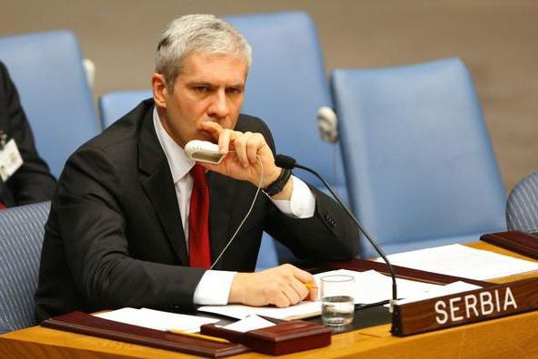 UN Security Council members are