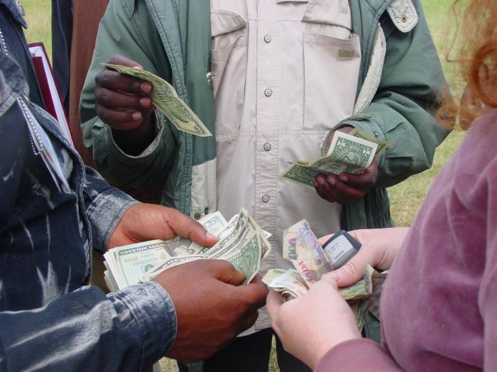 the fight against the shadow economy