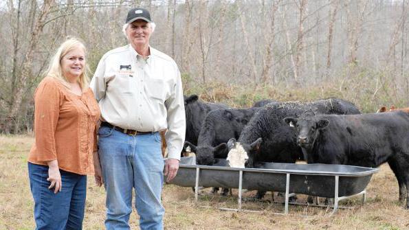 livestock family farms