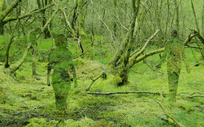 what do glassware do