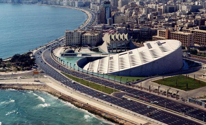 top largest cities in the world by area