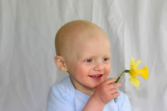 economic social and cultural human rights