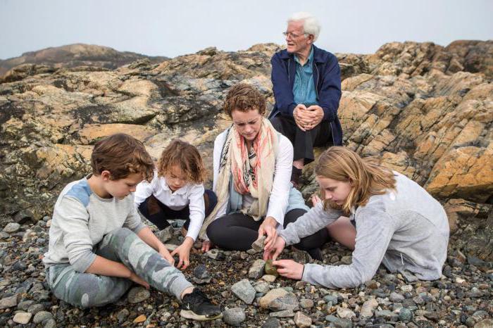 Lynch Peter Interesting Facts