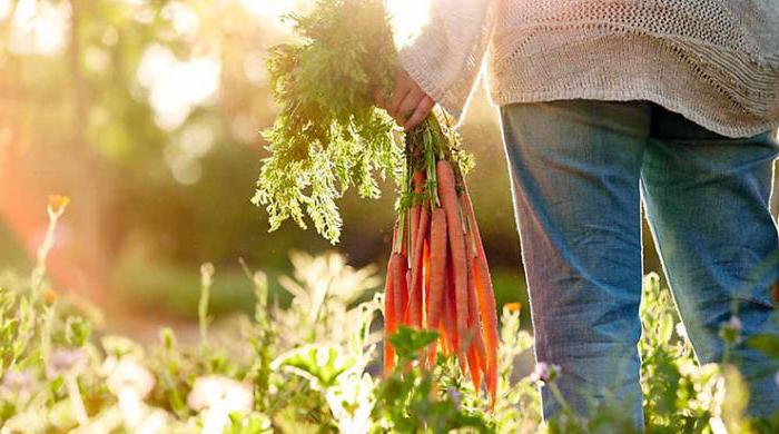 environmental regulation and standardization