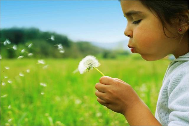 types of environmental regulation