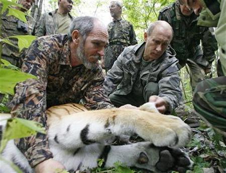problems of poaching in Russia and solutions