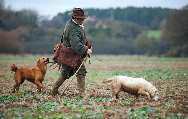 article for poaching in Russia