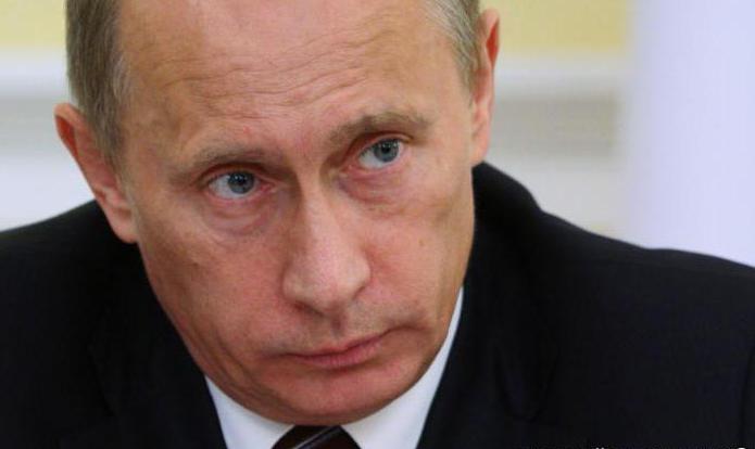 State Duma government functions