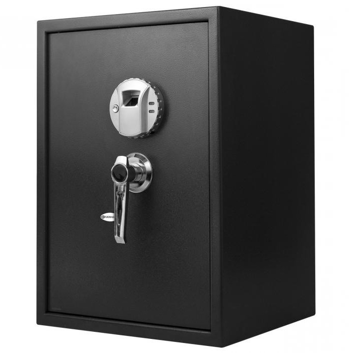 storage of weapons and ammunition