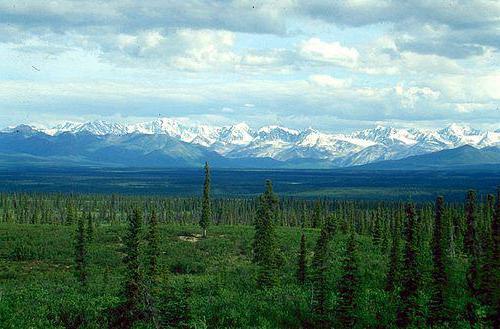 variety of natural complexes of Russia