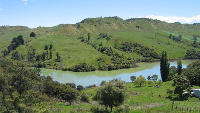 variety of natural complexes