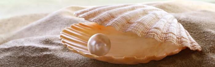 Life goals and values