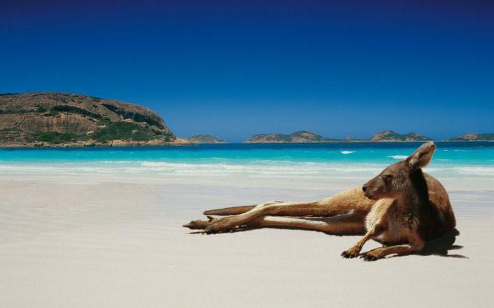 emigrate to australia from russia