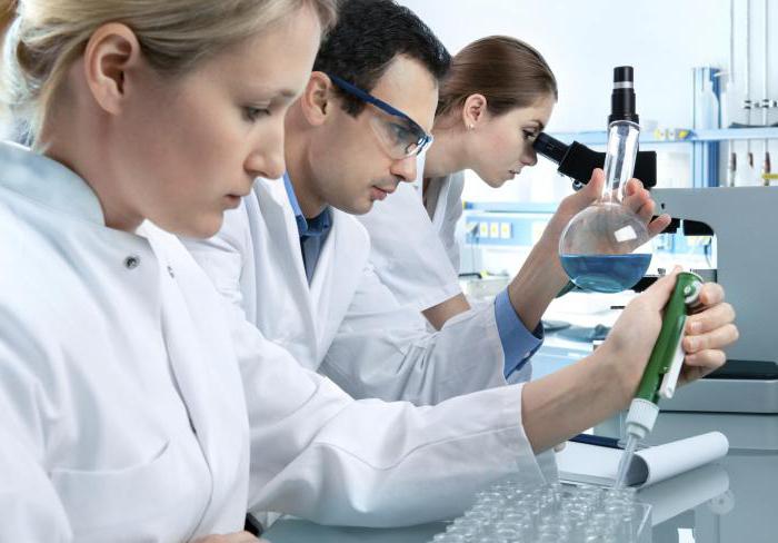 where to go to graduate school