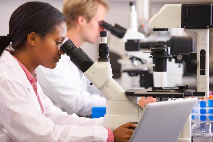 graduate school is it worth doing