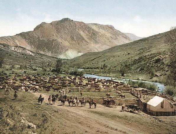 US GDP structure by industry