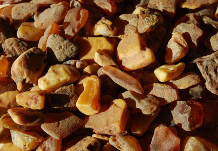 specialization of economic regions of the Russian Federation