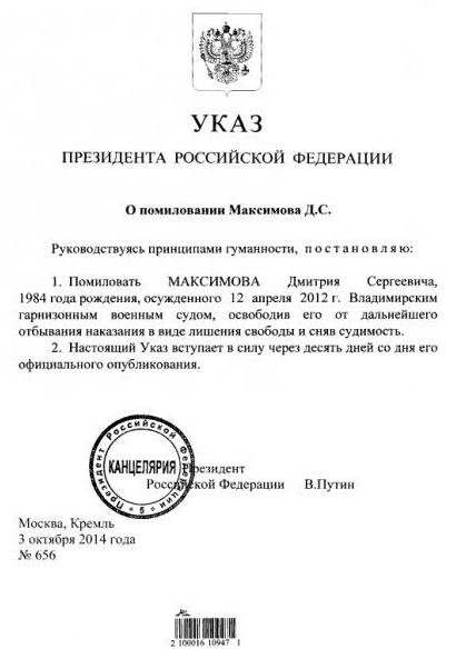 What is the difference between amnesty and pardon?